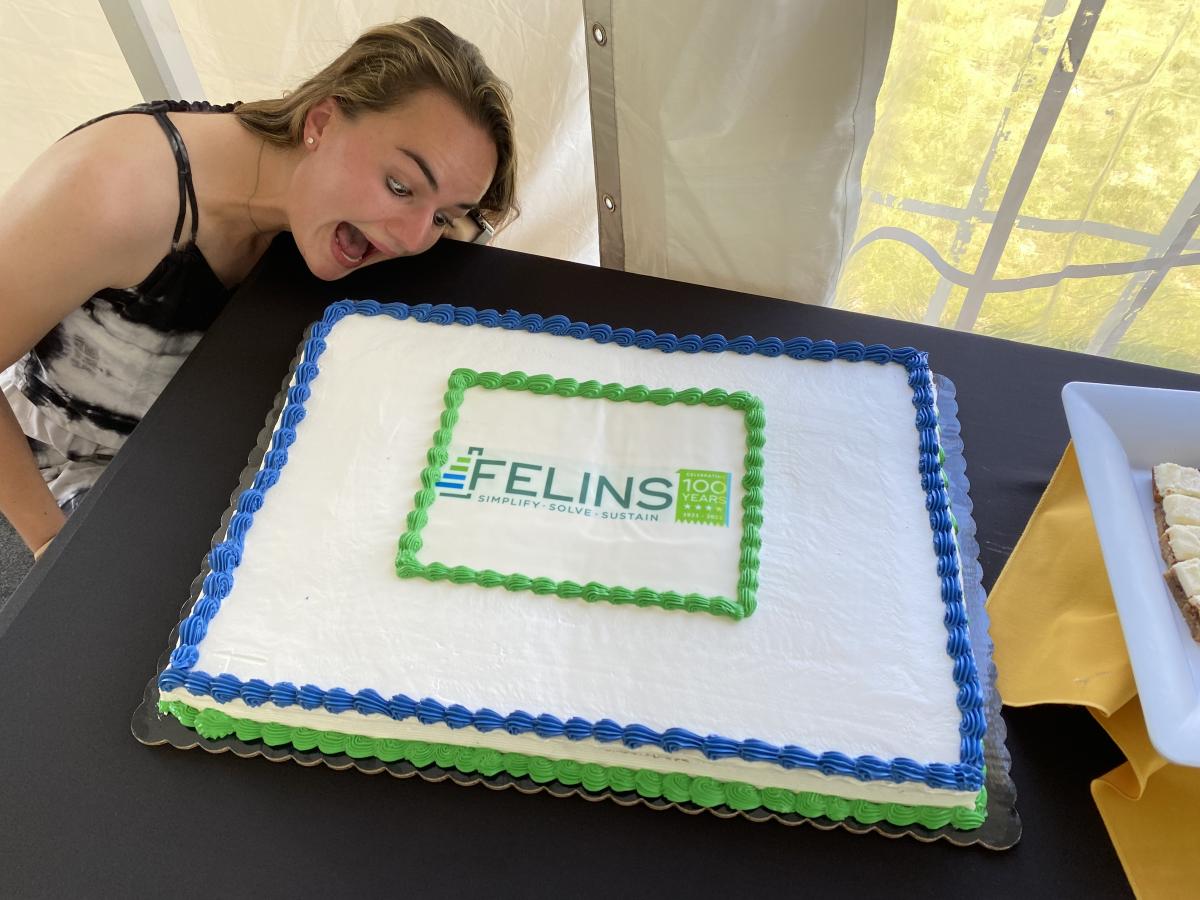 Felins cake