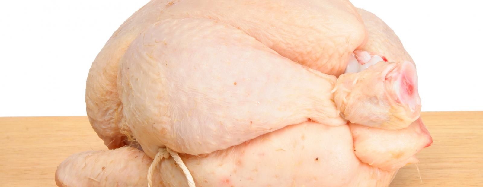 small trussed chicken