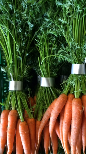 banded, bundled carrots