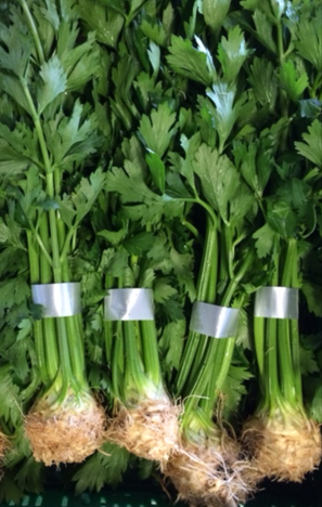 banded celery