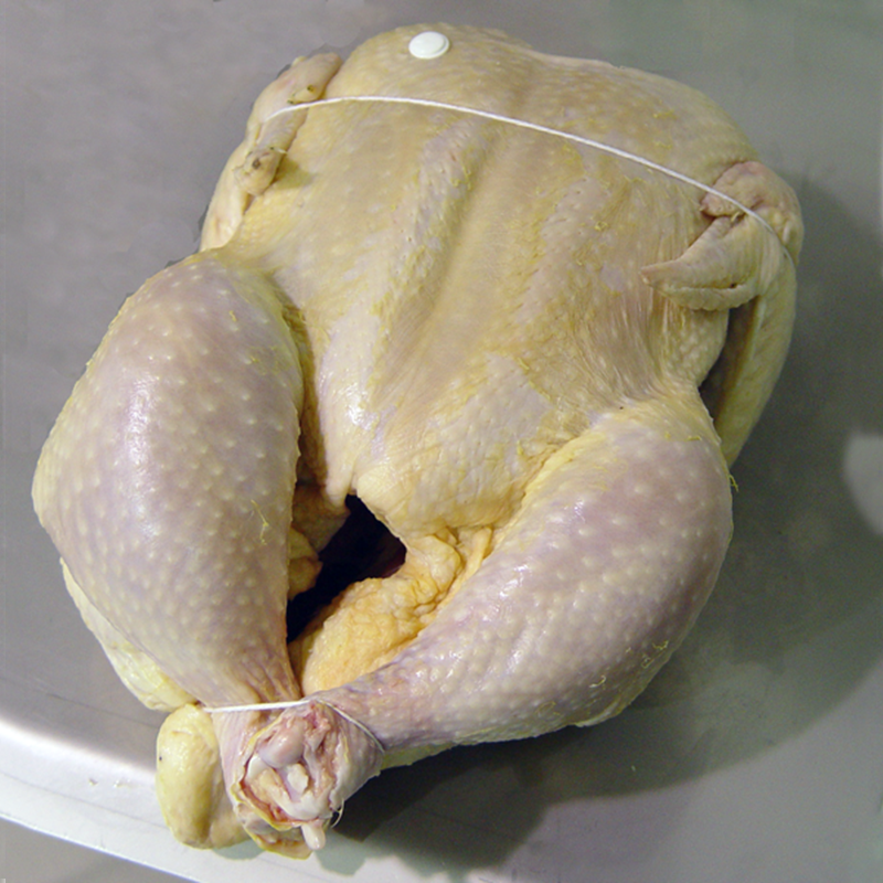 Chicken, Tying, trussing, securing