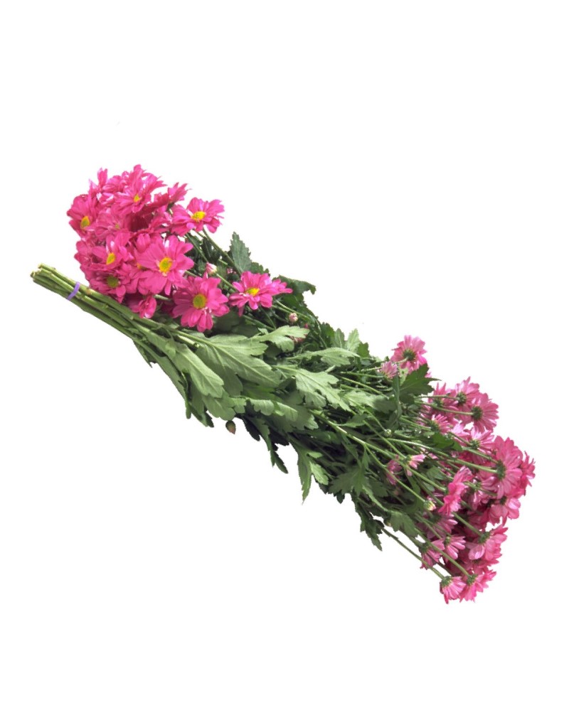 Elastic Tying Flower Rubber Banding Machine