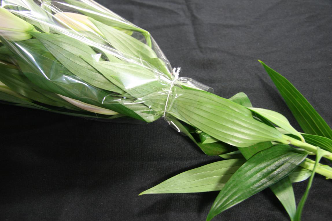 Flowers, Tying, unitizing, multipacking, bundling, securing, bunching, bouquets