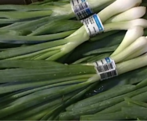 retail banding, display banding, label banding, food banding, onions