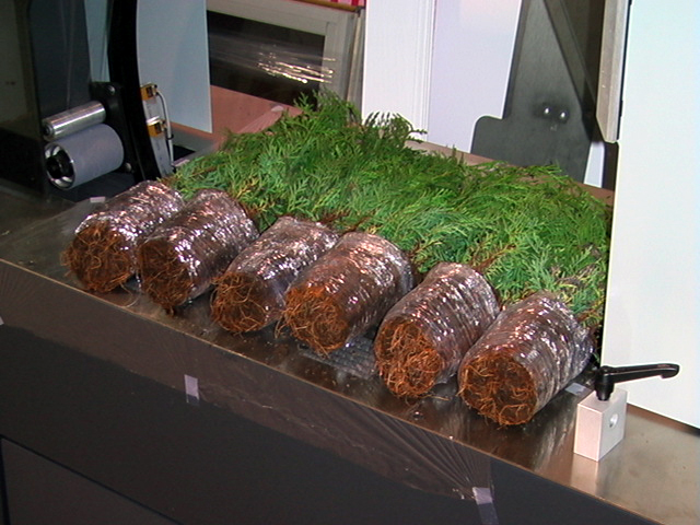 Seedling Roots, Stretch Film Banding, unitizing, securing, bundling