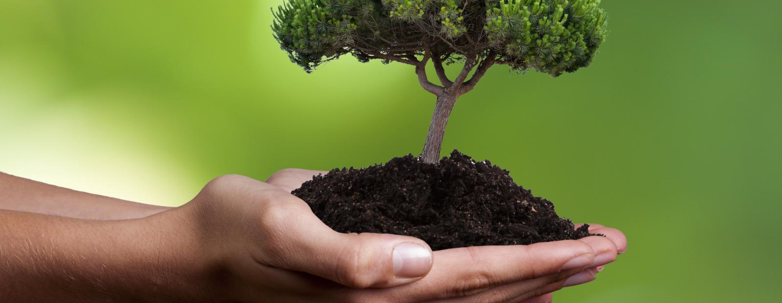 sustainability