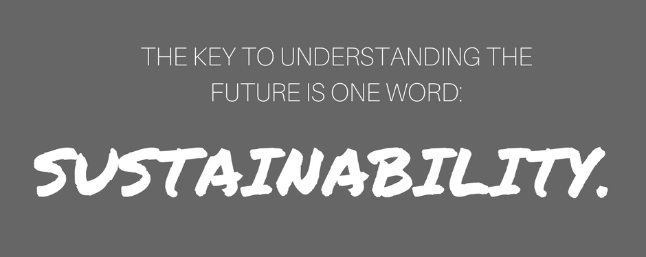 the key to understanding the future is sustainablity