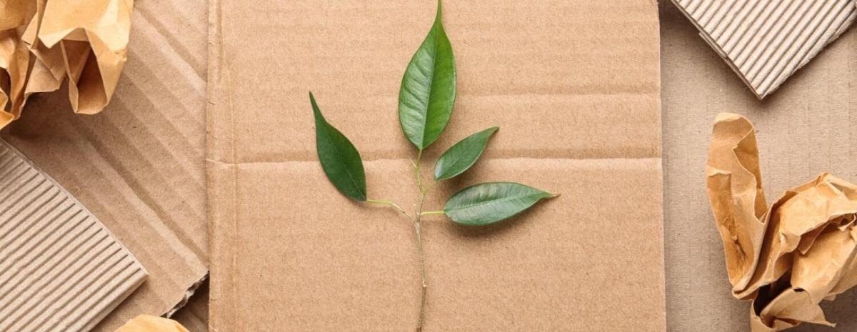 E-com Packaging