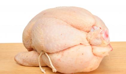 small trussed chicken