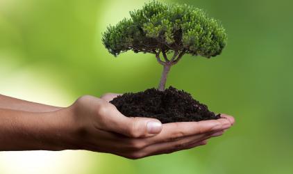 sustainability